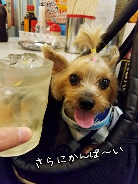 PhotoGrid_1531658598530