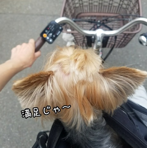 PhotoGrid_1531218942643