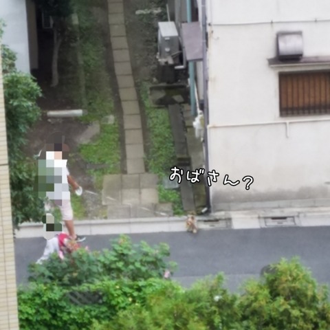 PhotoGrid_1537399341229