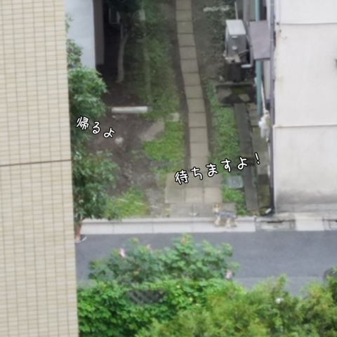 PhotoGrid_1537399562202