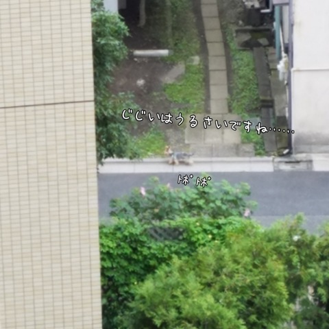 PhotoGrid_1537399643881