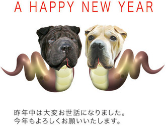 2013ǯǯ���
