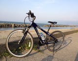 trek4300