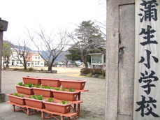 姶良市立蒲生小学校校庭