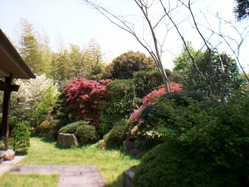 庶流入来院家武家屋敷庭園