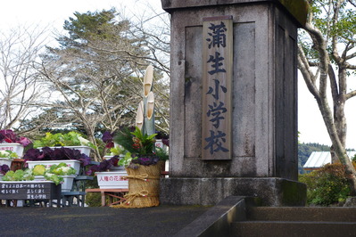 2013年蒲生小学校門松
