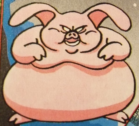 butaotokoadq