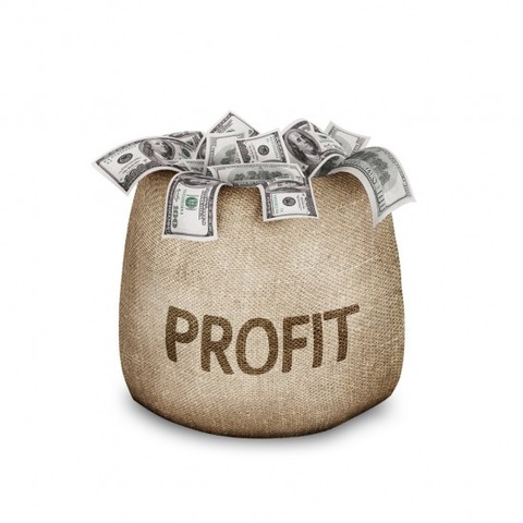 profit-550x550