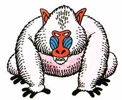 ダウンロード (1)