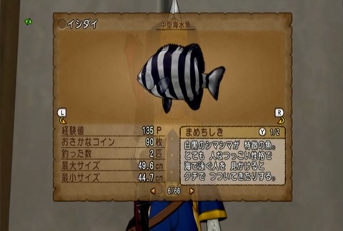 魚図鑑&イシダイ05