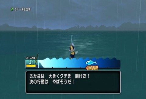 魚図鑑-オオシャコガイ05