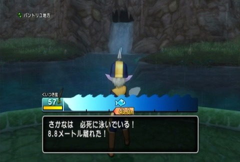 魚図鑑-アカガエル02