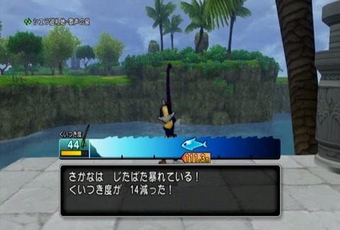 魚図鑑&マグロ03