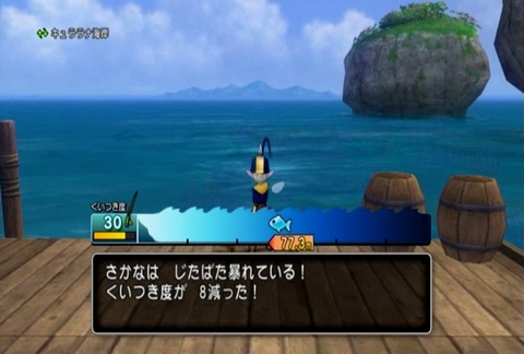 魚図鑑&イシダイ03