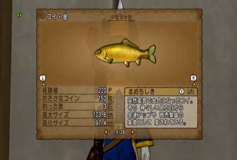 魚図鑑&コイ金05