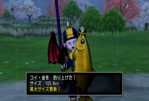 魚図鑑&コイ金04