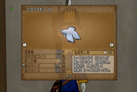 魚図鑑&ゴクラクギョ白06