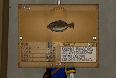 魚図鑑&ヒラメ05