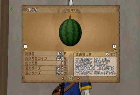 魚図鑑&スイカ07