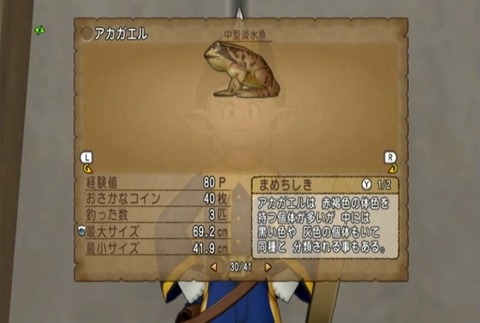 魚図鑑-アカガエル06