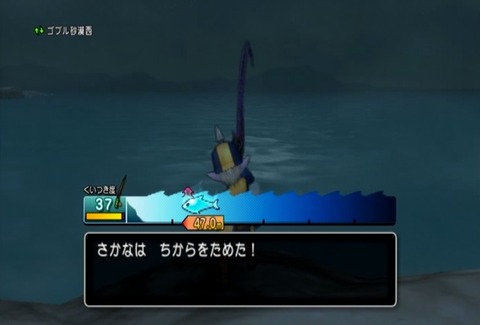 魚図鑑&アンコウ04