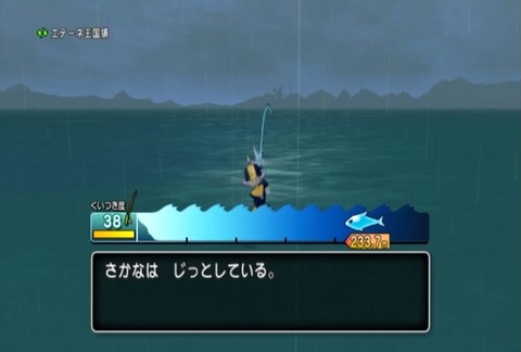 魚図鑑-オオシャコガイ03