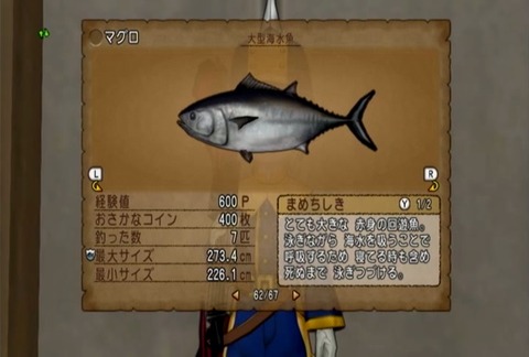 魚図鑑&マグロ05