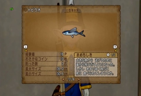 魚図鑑&トビウオ06