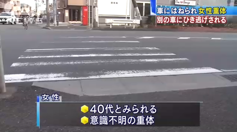 無f24f24f32ff24f題