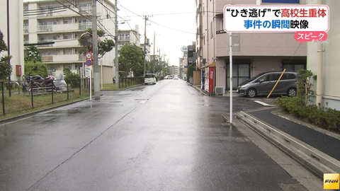 無f4f24232131題