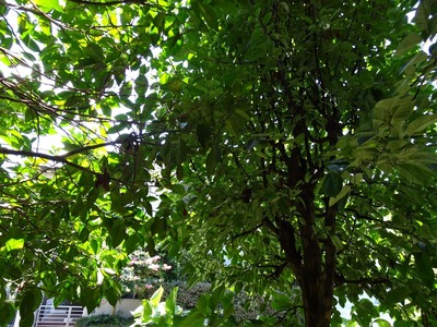 DSC03708
