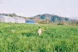FH030037