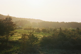 FH000012