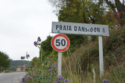 DSC07508