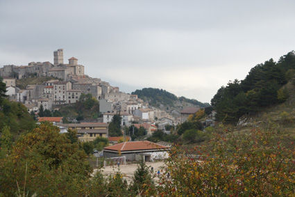 DSC07783