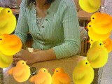 ����-�ֺ�echigo