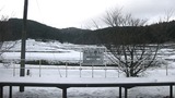 hikaku002