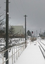 hikaku004
