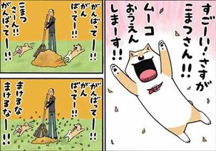 いとしのムーコ9巻 落ち葉 テンション1