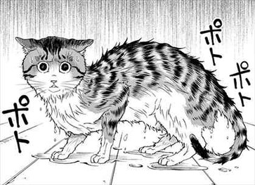 ねこったけ3巻 猫描写2