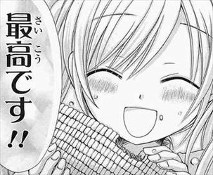 JA2巻/野沢ひなげし2
