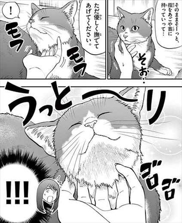 ねこったけ2巻 猫描写4