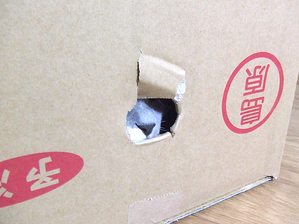 箱ひま
