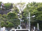shina01