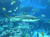 DSCN0814