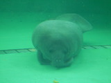 DSCN0858