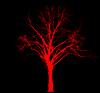 c8f77f78.jpg