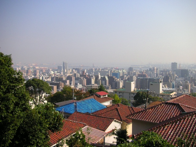 1b352b77.jpg