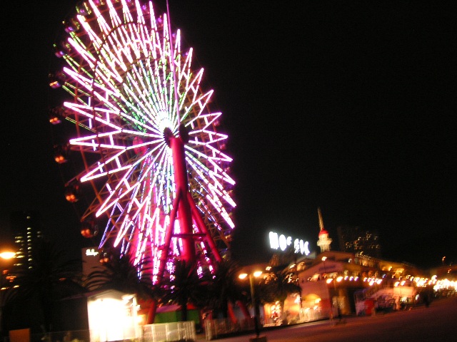 55d87501.jpg
