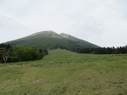 IMG_1891